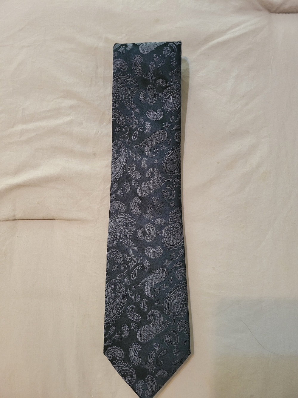 Piattelli Black Paisley Silk Tie with Silver Accents